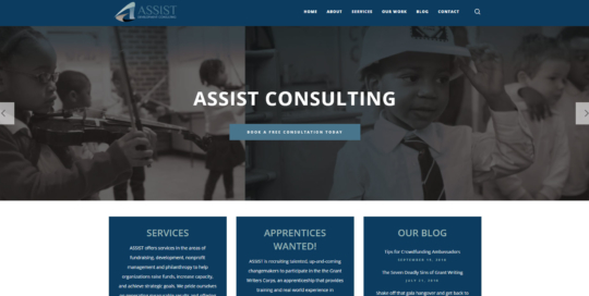 Assist Consulting